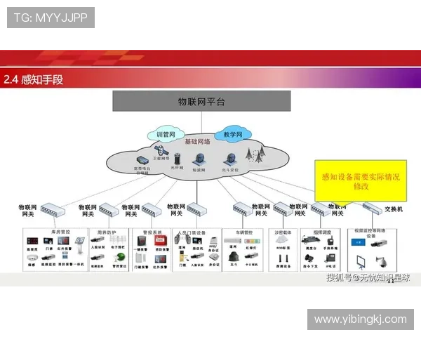 以电子娱乐大平台为核心的数字内容生态与未来体验创新发展路径